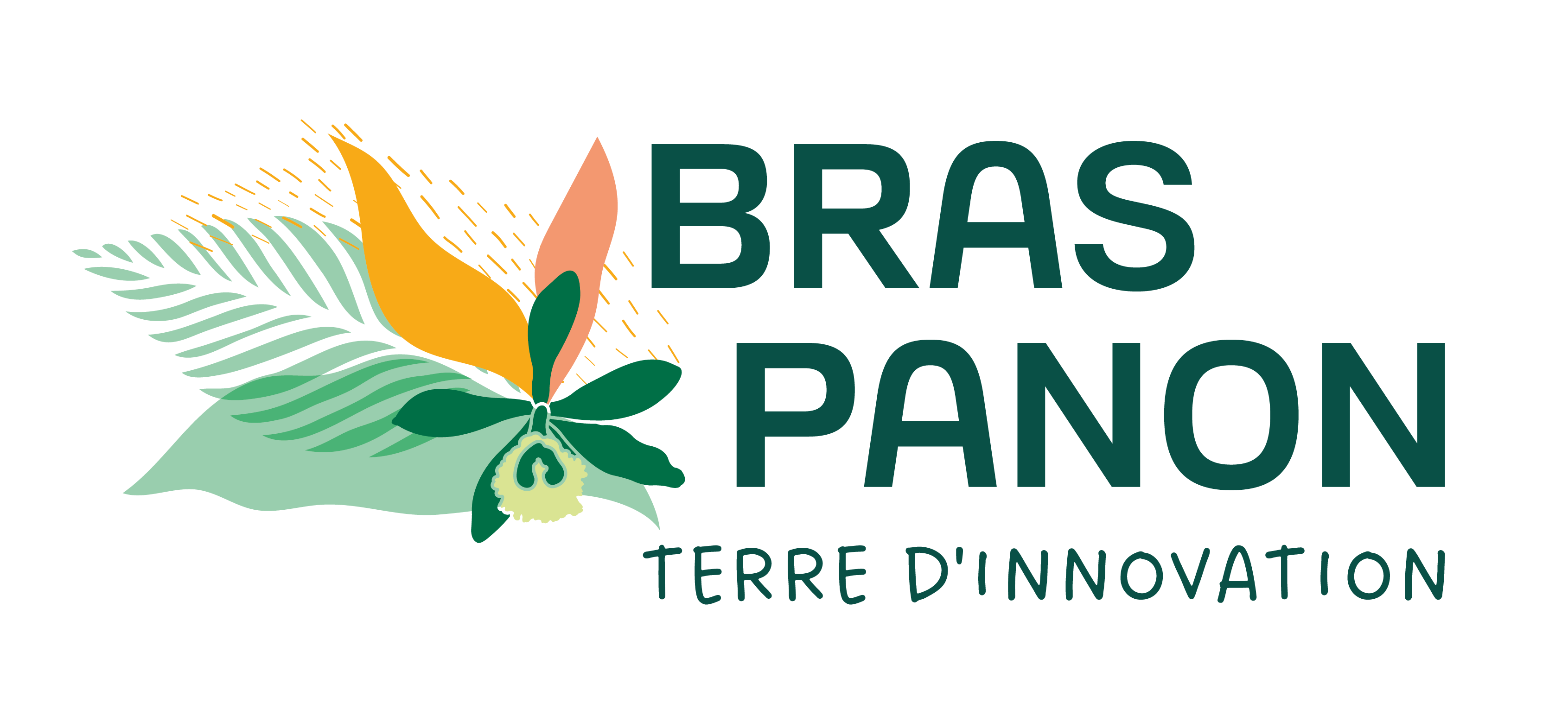 BRAS-PANON